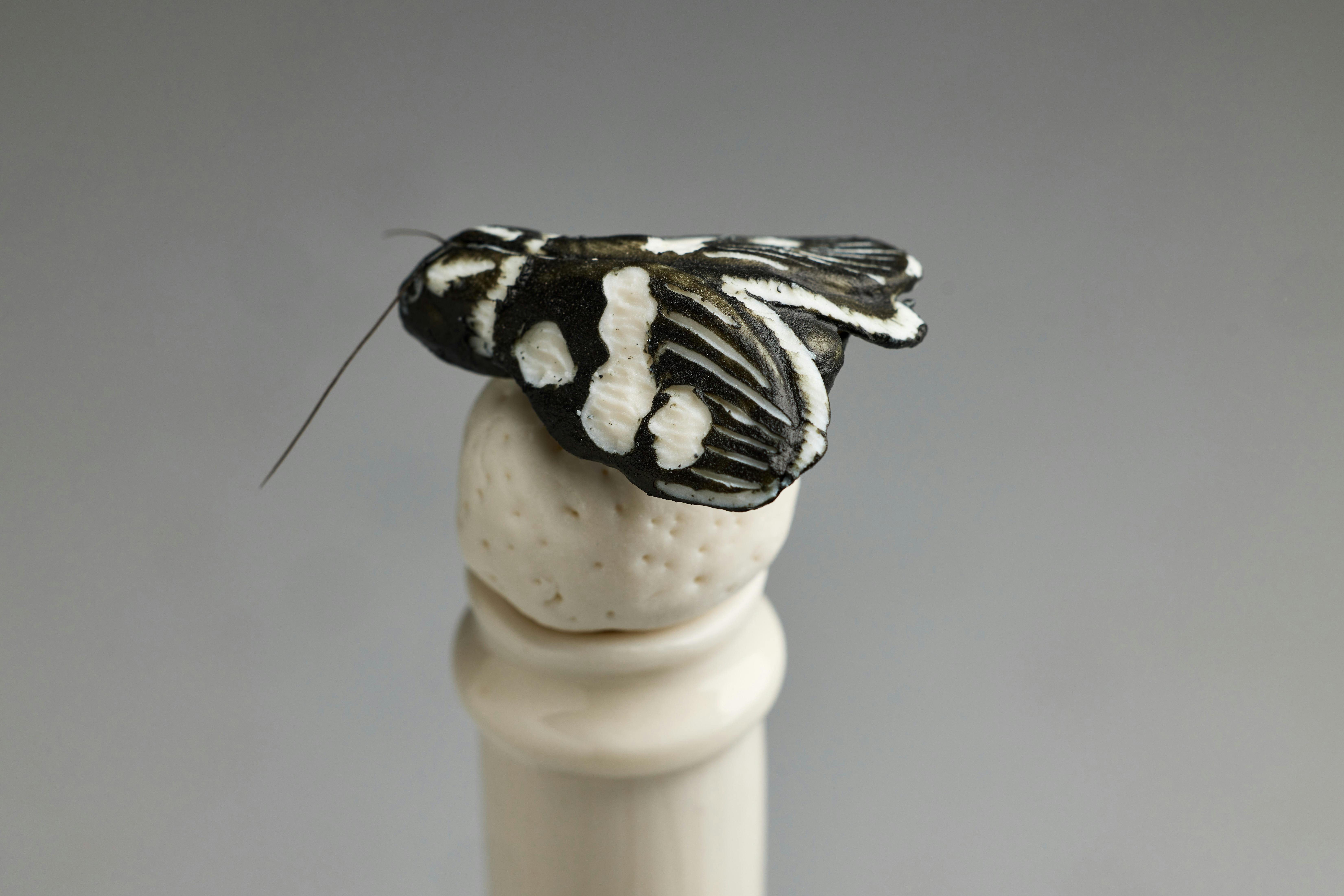 small black and white ceramic moth on top of white ceramic champagne bottle
