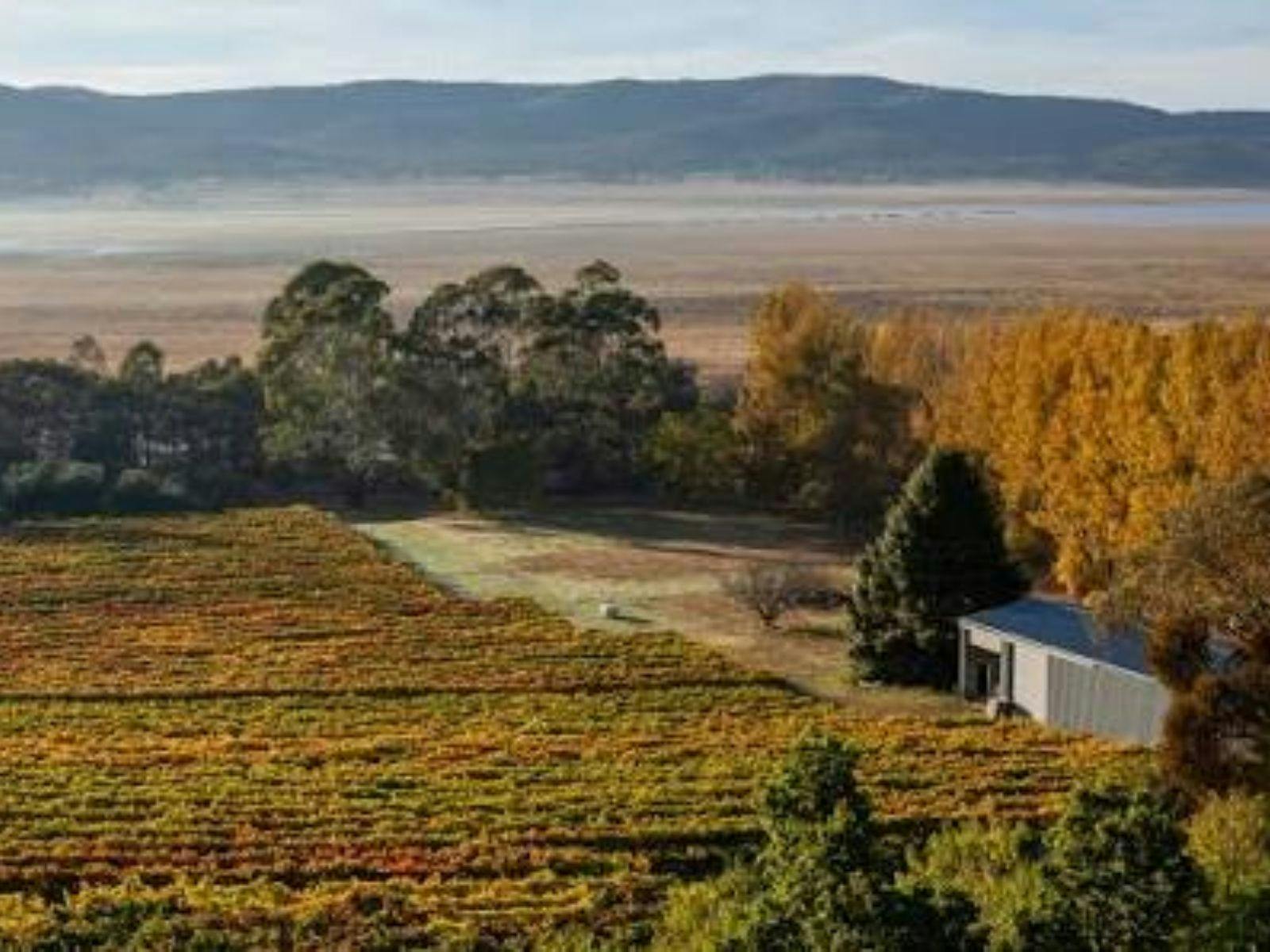 Eden Road Wines