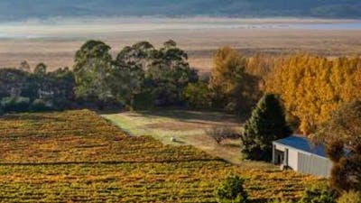 Eden Road Wines