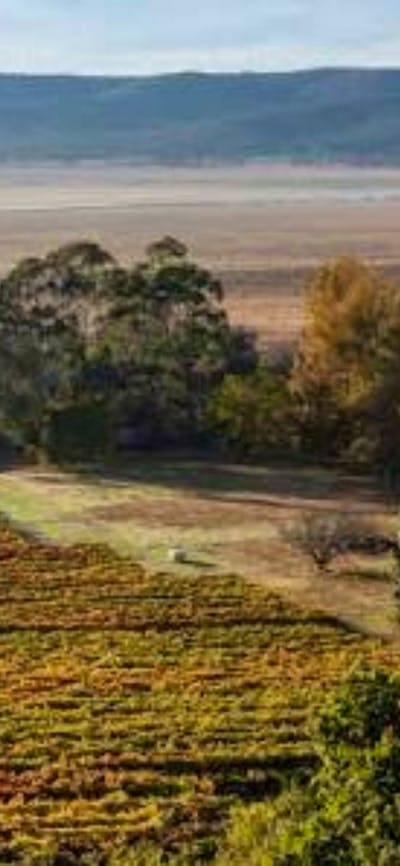Eden Road Wines