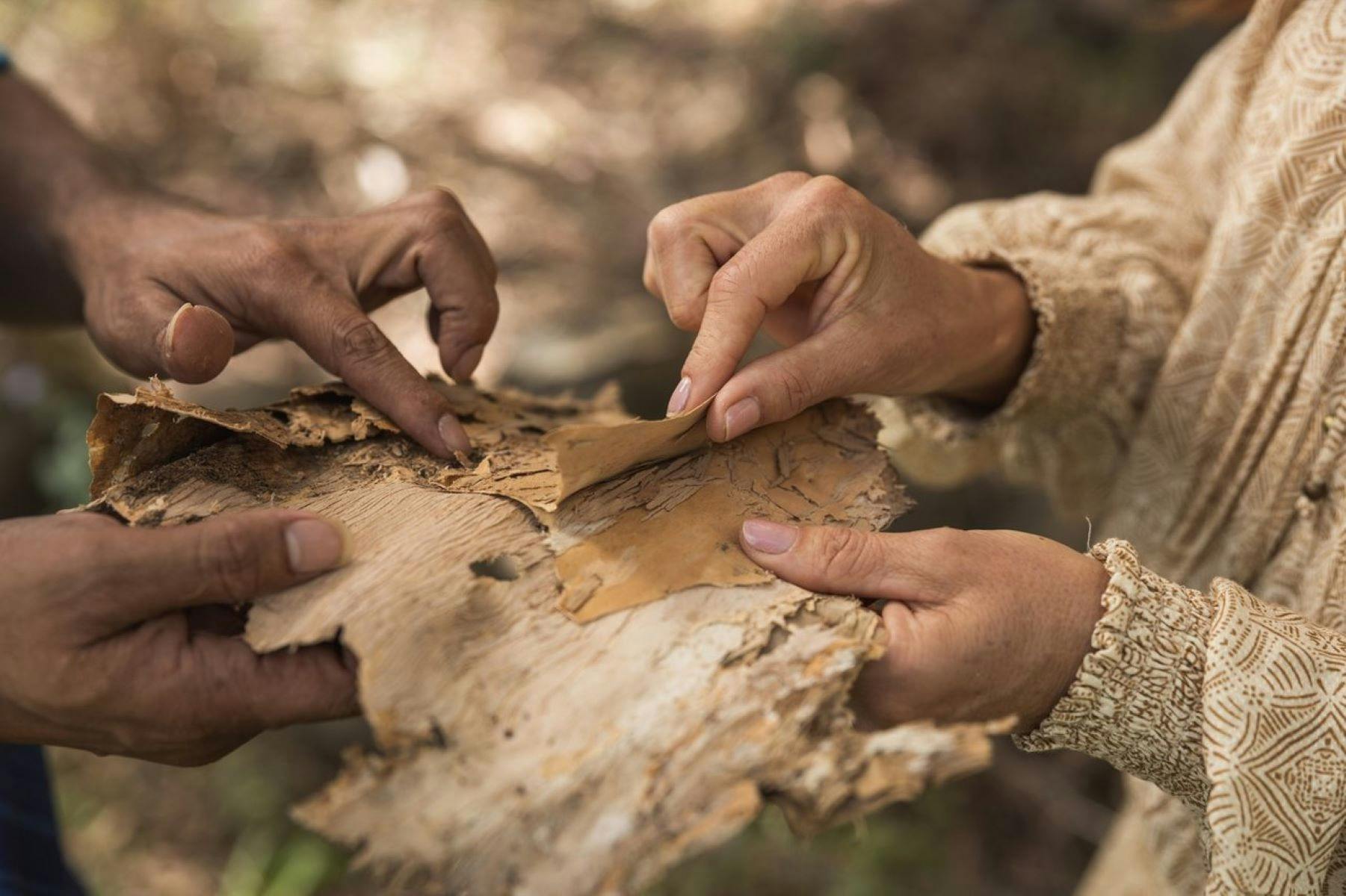 Taribelang Bunda Cultural Tours