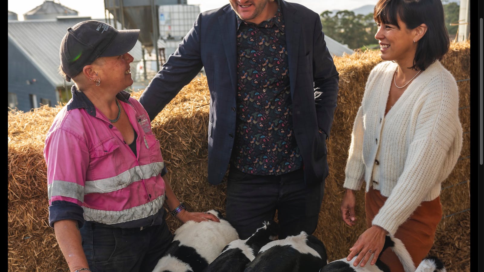Feed the cute calves at the dairy