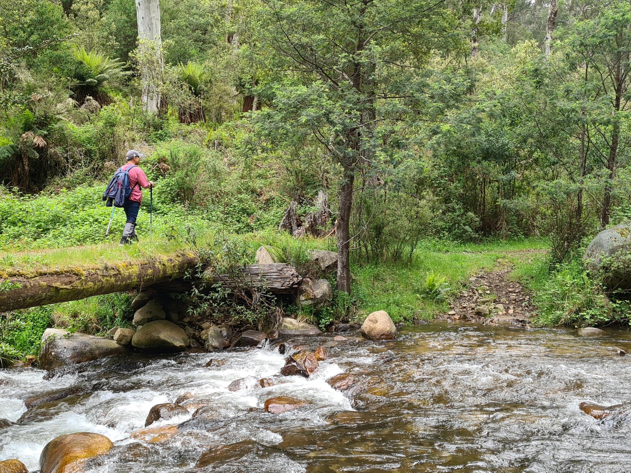 A hiker crossing one of the log bridges on the Delatite River.