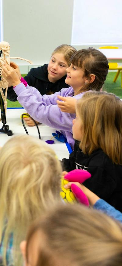 A group of children exploring a miniature skeleton