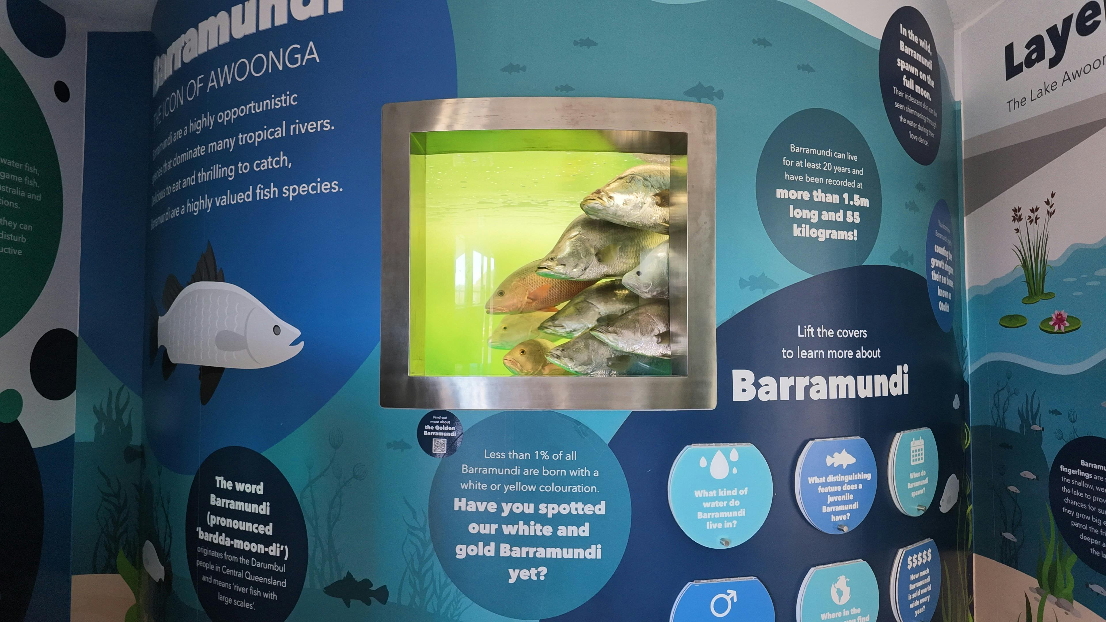 Aquaculture Gladstone Interpretive Display - Barramundi and Mangrove Jack Display