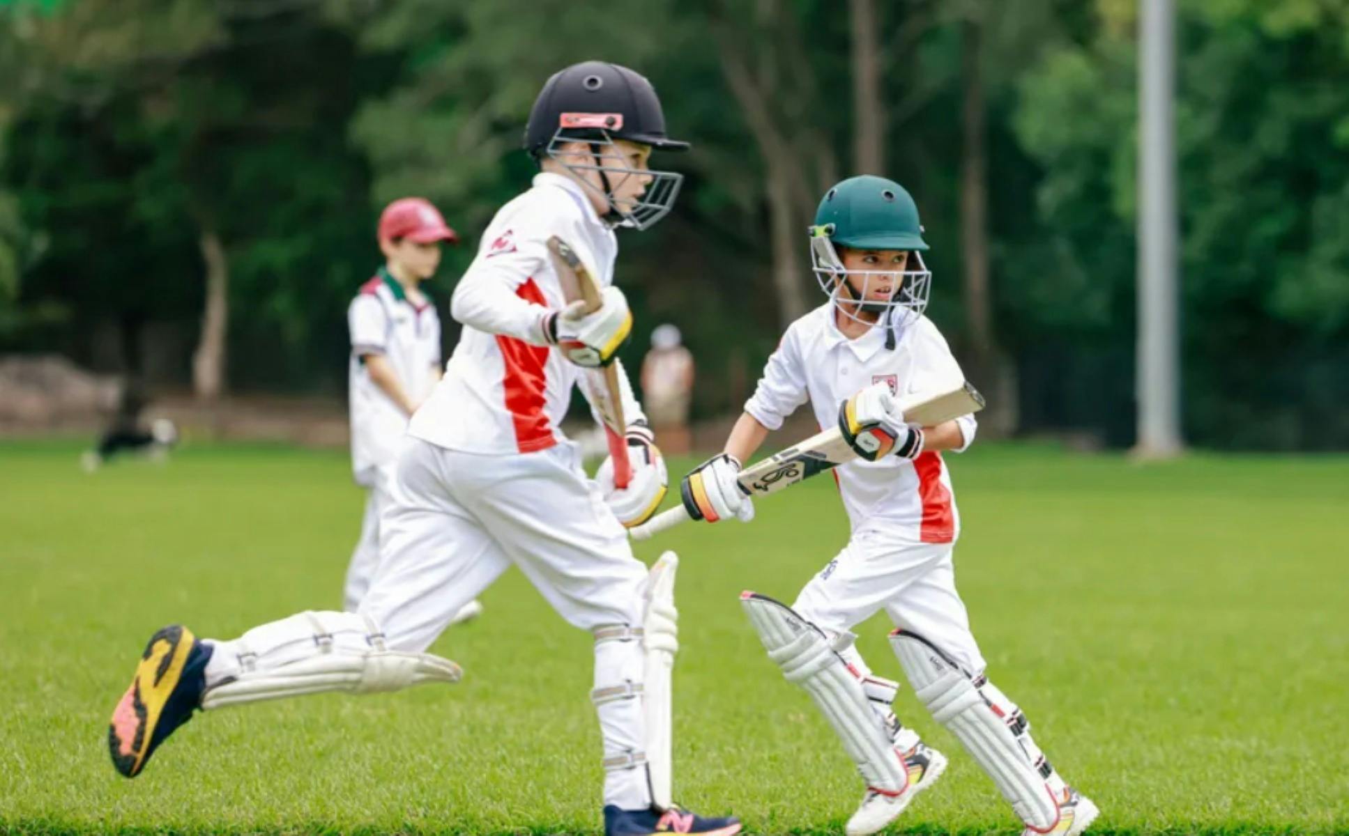 シドニーサンダークリケットプログラム