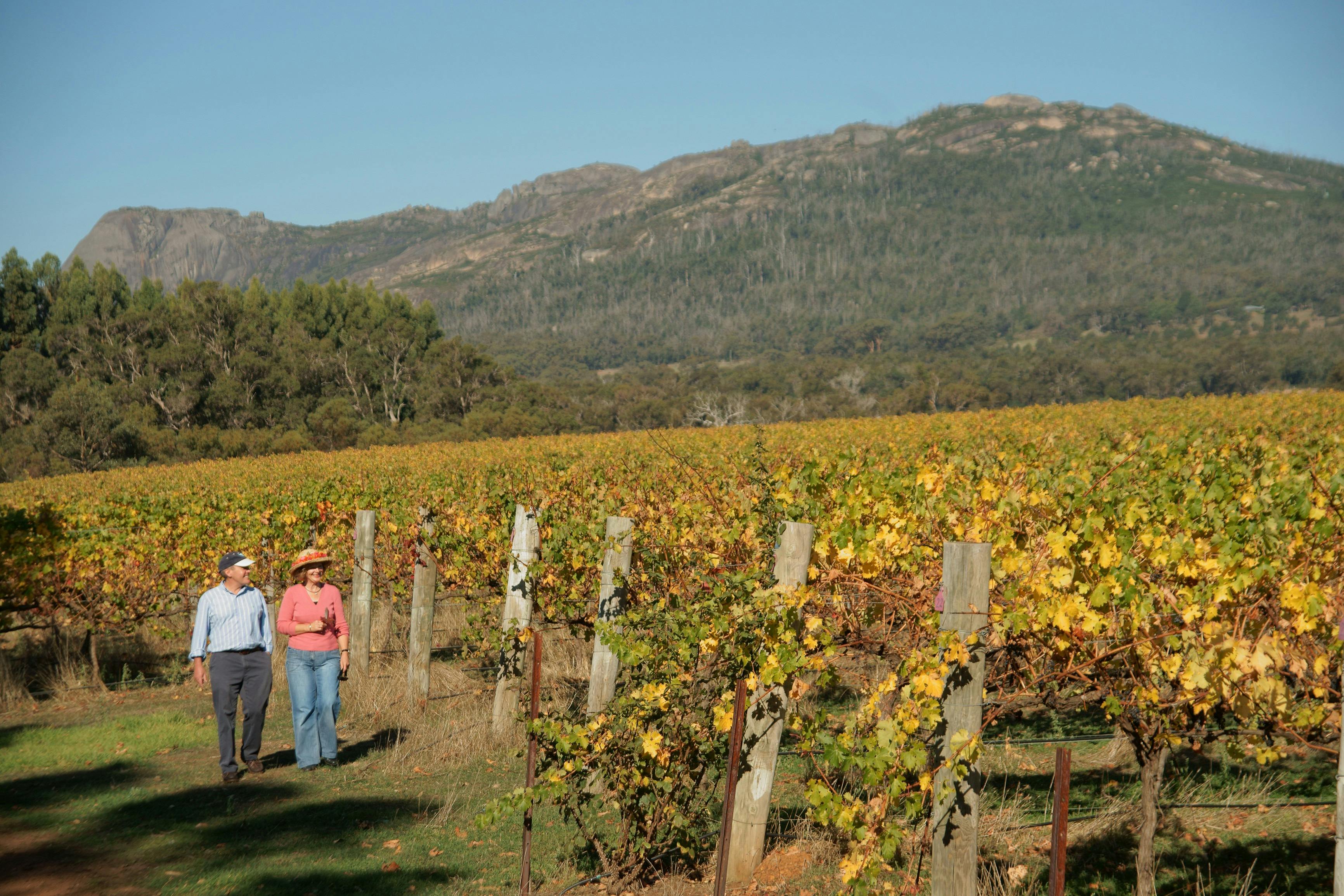 Albany Wine Tours