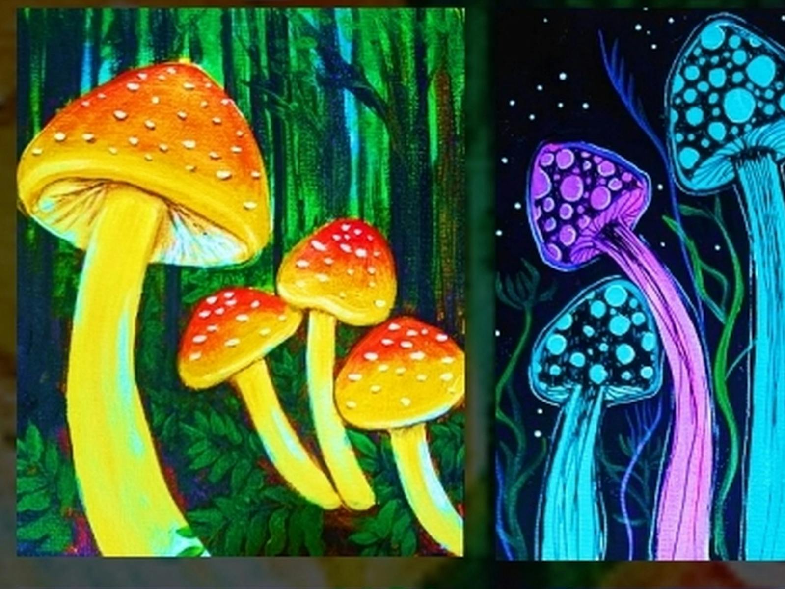 A coulourful painting of fungi
