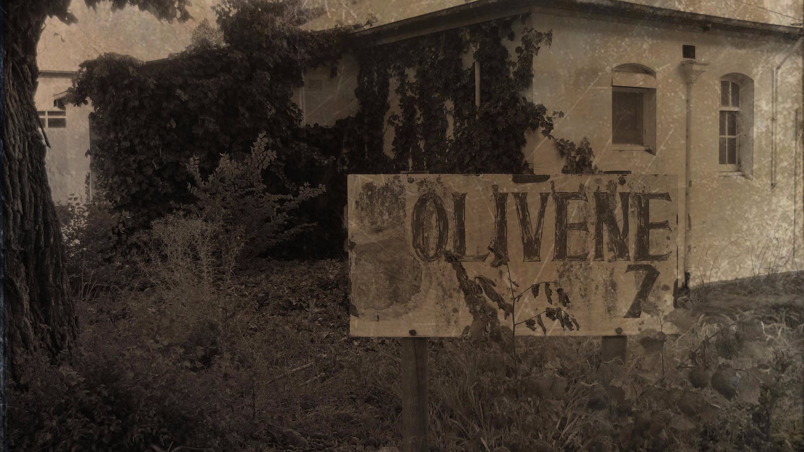 Asylum Ghost Tours