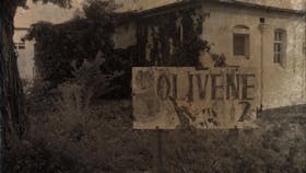 Olivene - Criminally Insane Male Ward