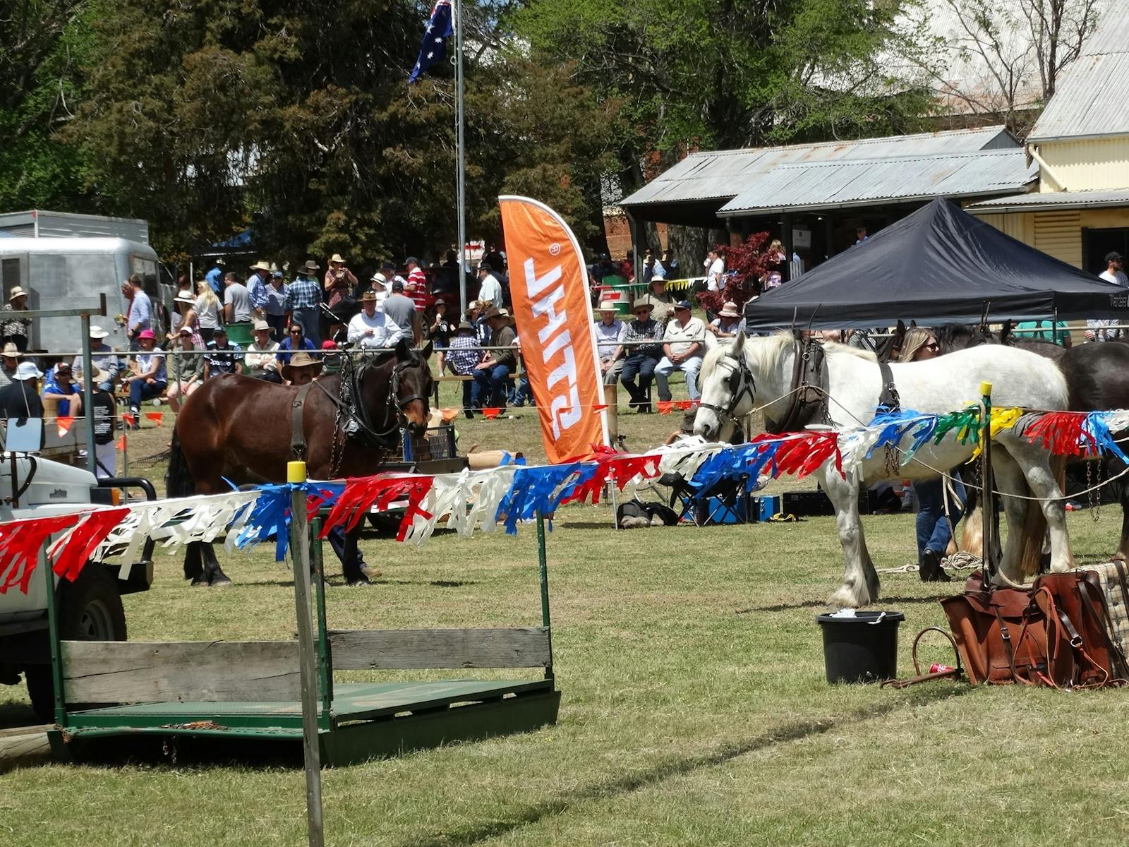Image for Carcoar Show