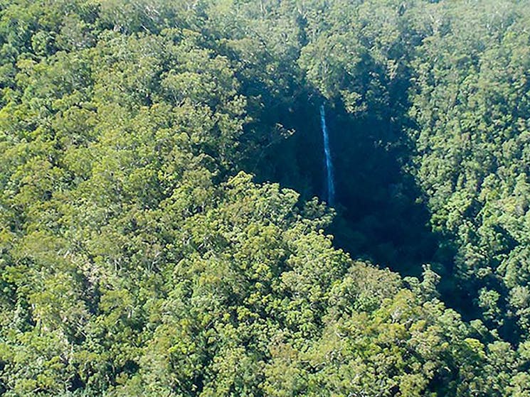 Protestors Falls walking track