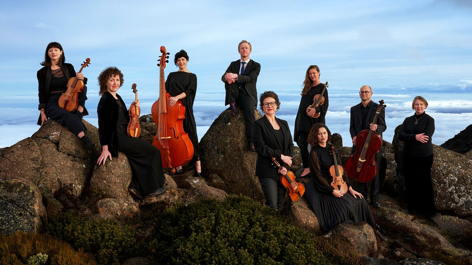 Van Diemen's Band Bizarrerie - hero image