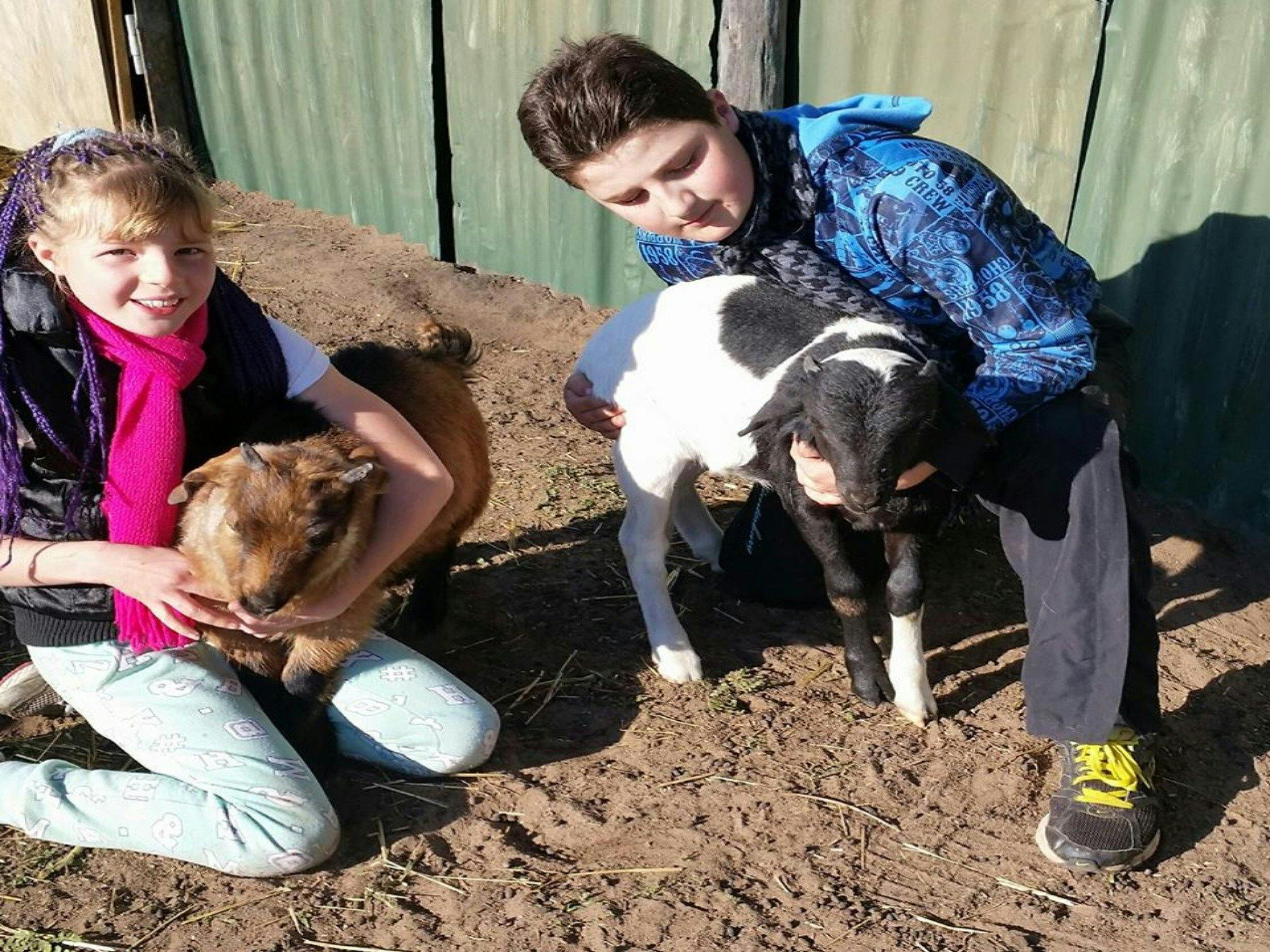 Quamby Park Farm Stay Retreat Hilltops Region NSW 2803