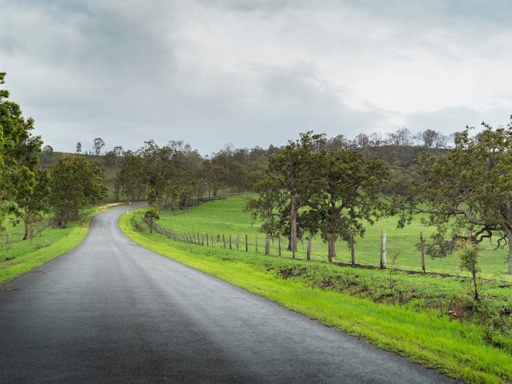 Road winding through the Araluen Valley