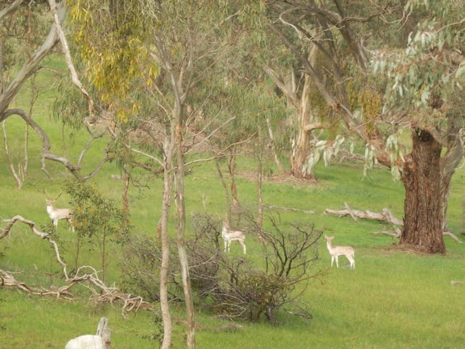Mount Charmal Bed And Breakfast