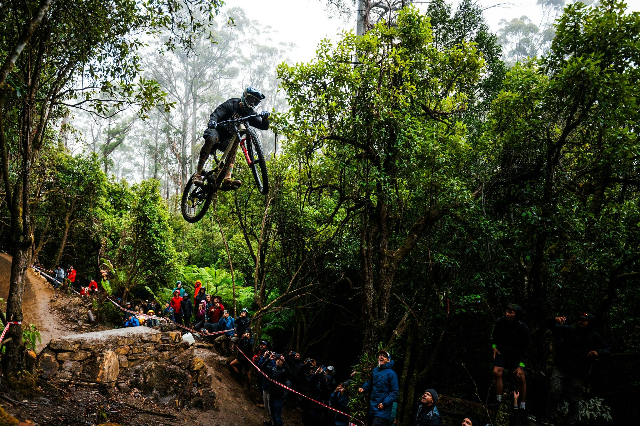 Rider jumping mountain bike in forest