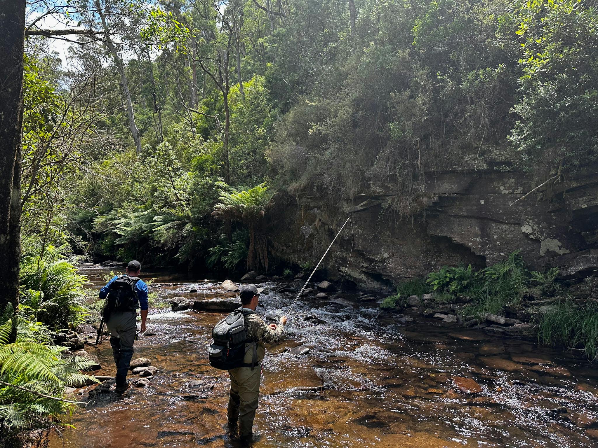 Victorian High Country Guided Fly Fishing