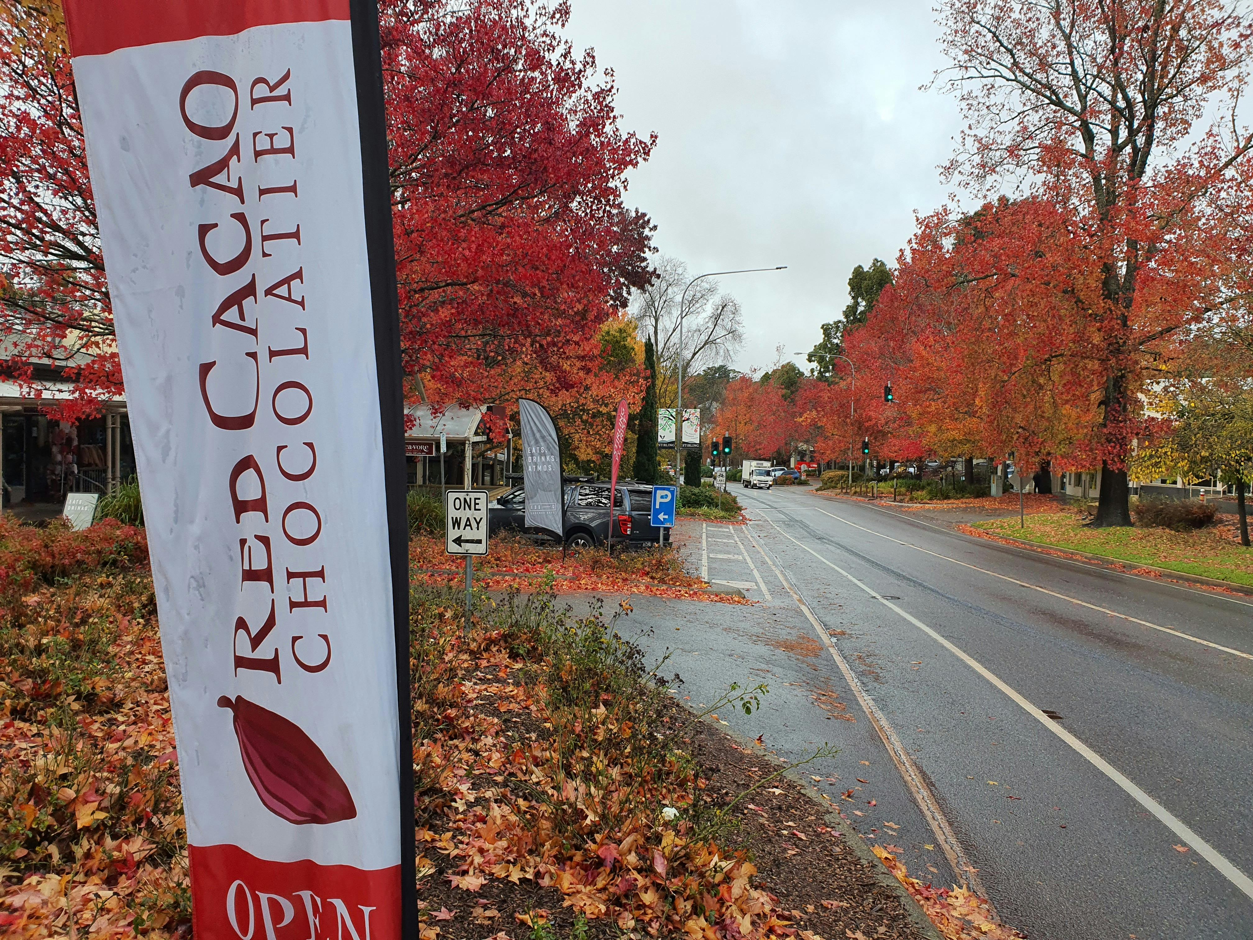 Autumn - Adelaide Hills