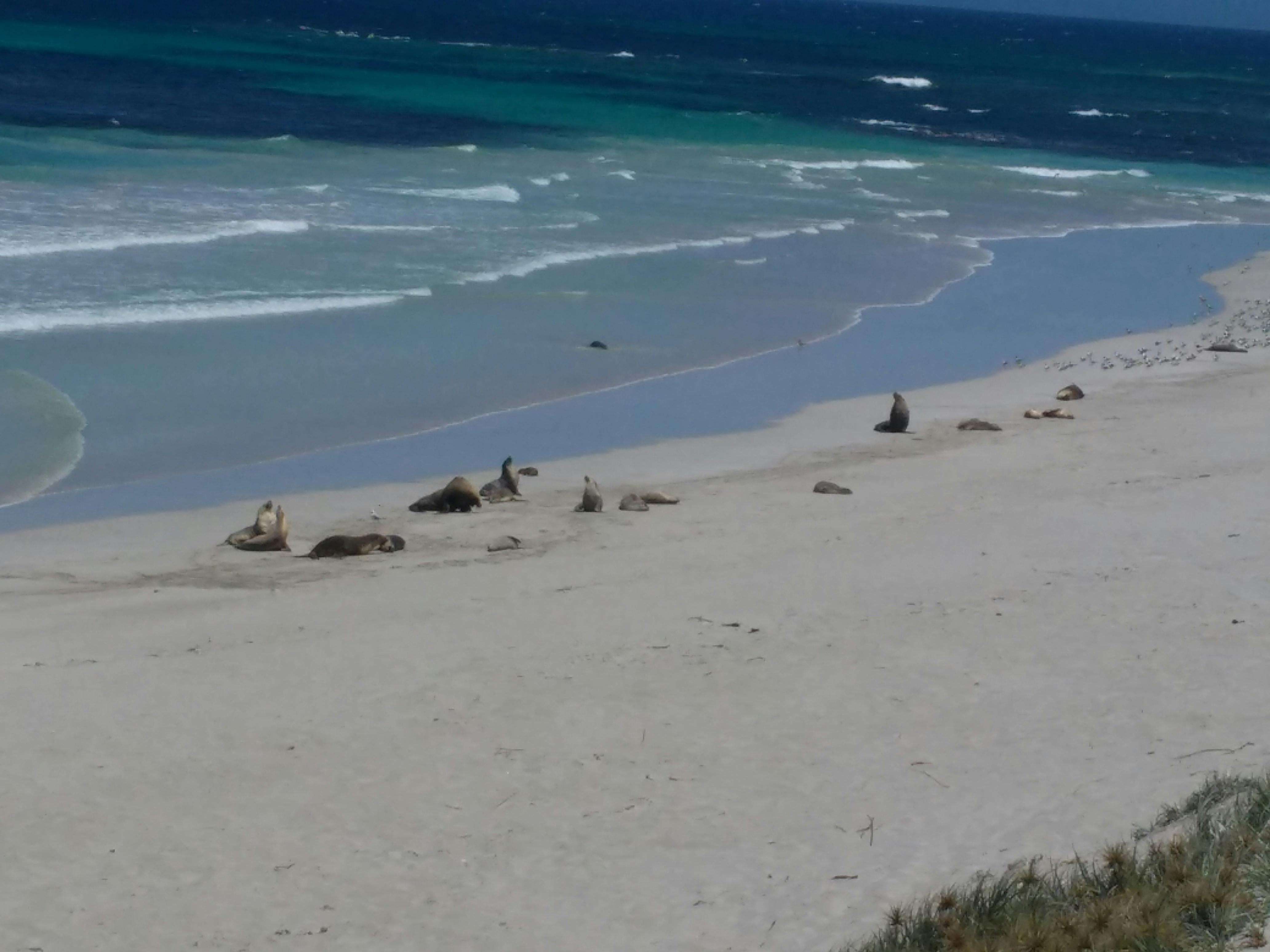 Kangaroo Island, South Australia
