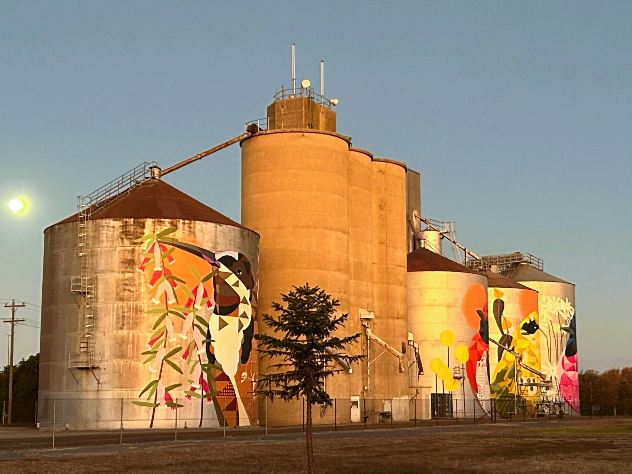 On your walk you will go past the iconic Rutherglen Wine Bottle