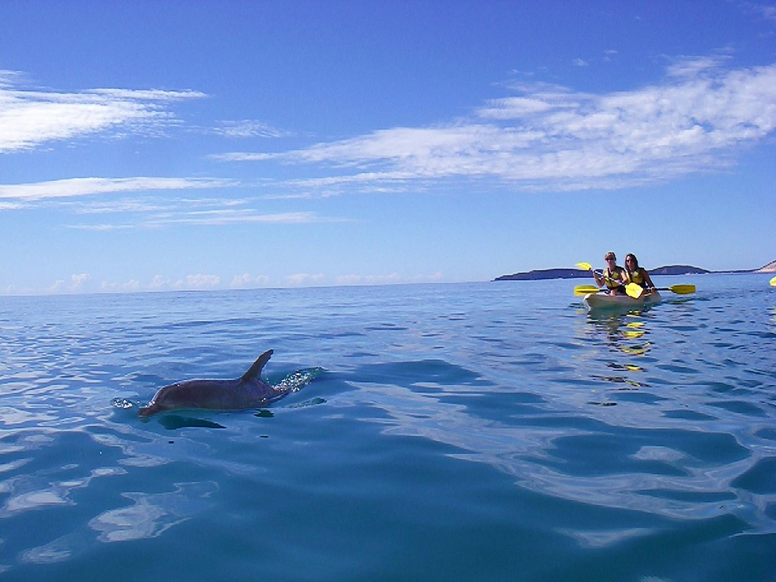 Epic Ocean Adventures
