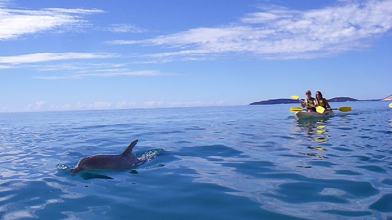 Dolphin View Kayak Tour and Great Beach Drive Adventure Rainbow Beach