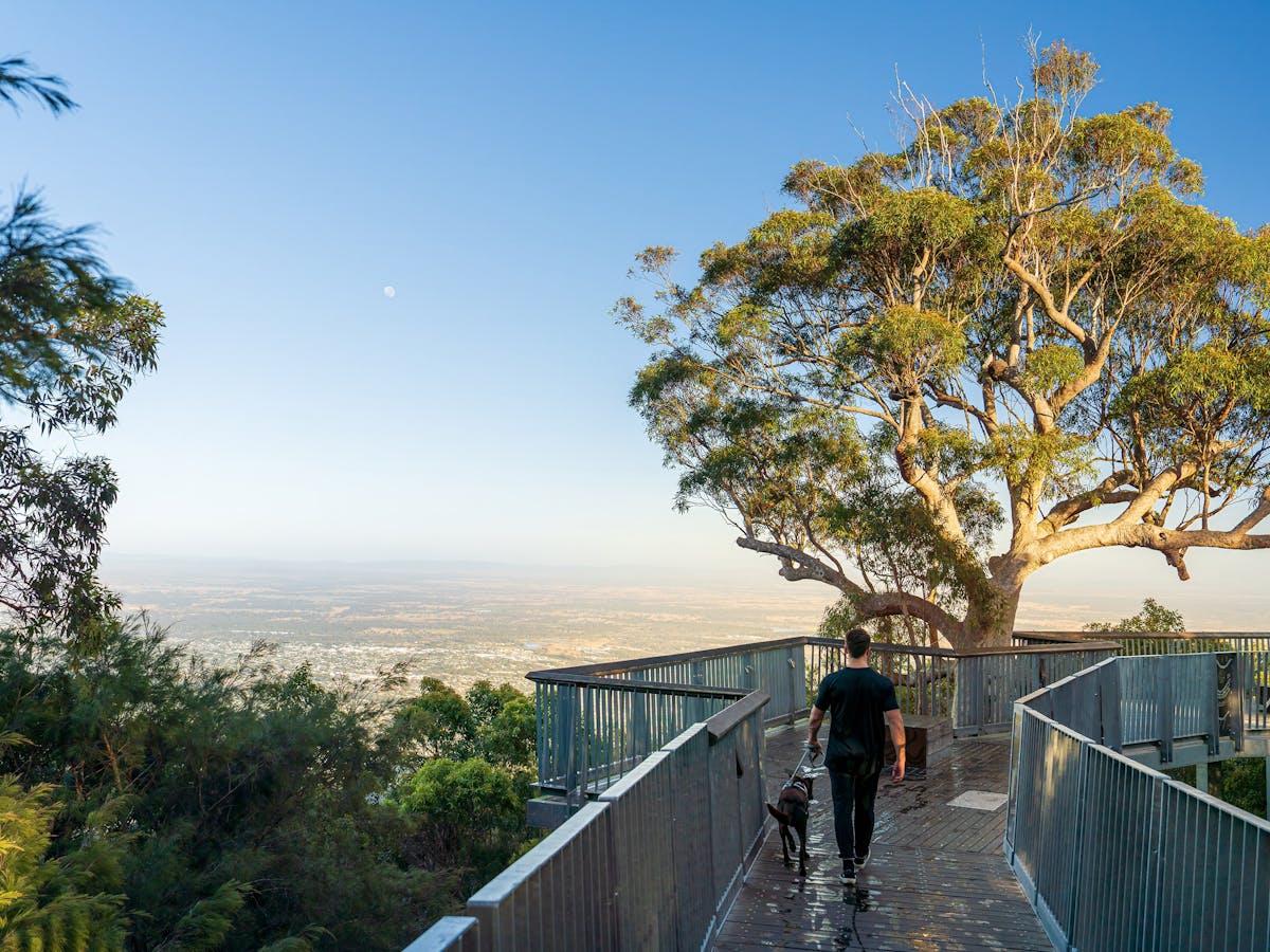A young man and his pet dog walking along a board walk.