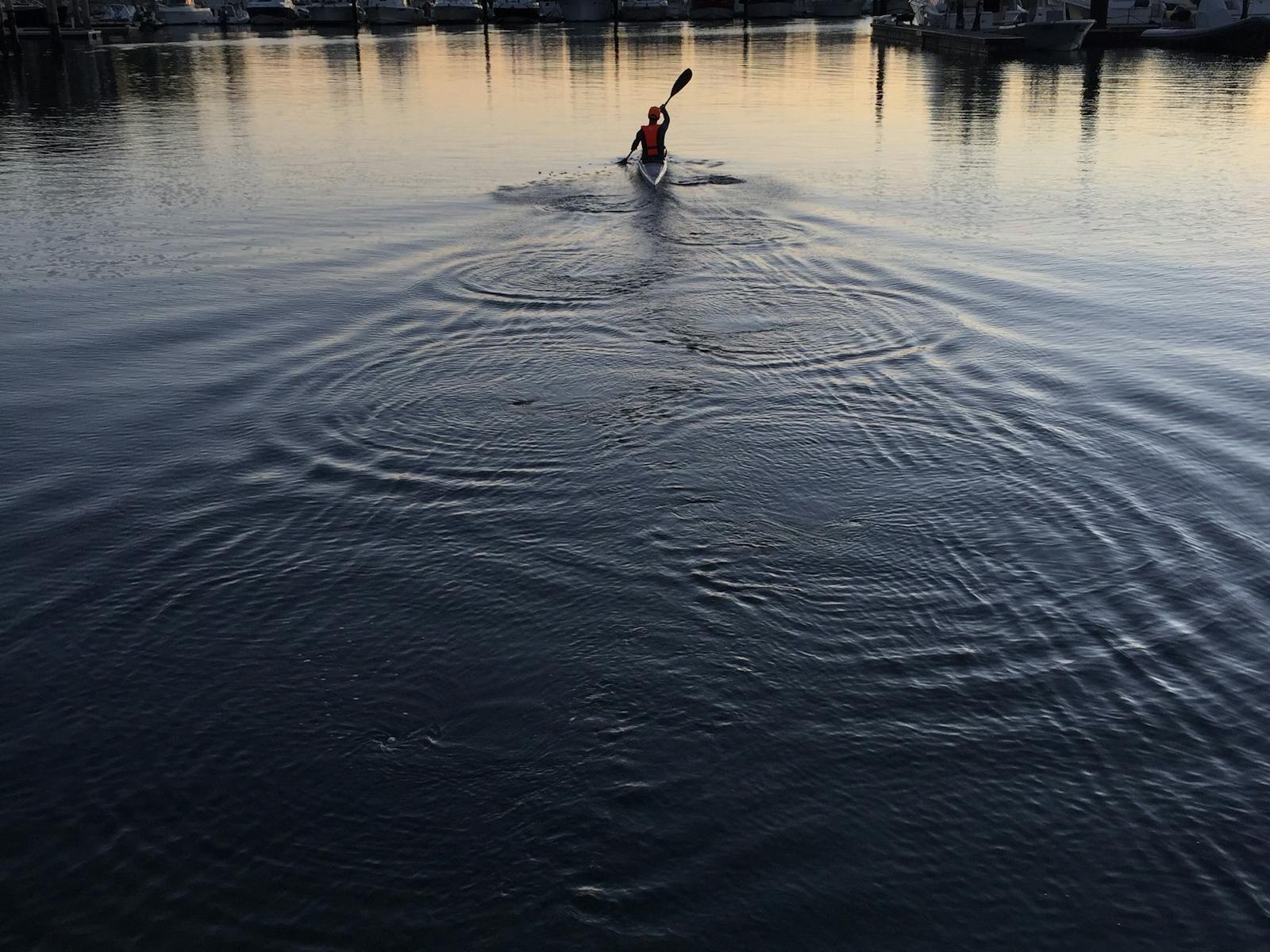 シドニー港の日の出をカヤックで楽しむ