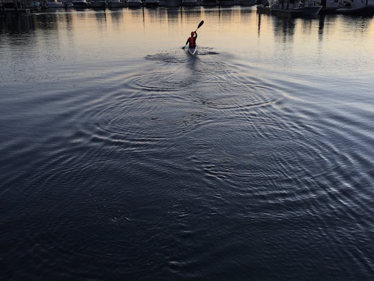 Kayaking Sydney harbour sunrise