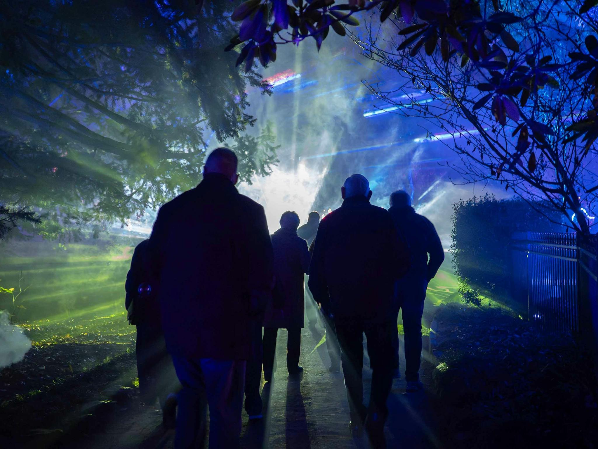 Visitors are enveloped by blue and green 3D shapes Visitors are enveloped by blue and green 3D shapes