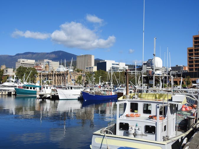 Tasmania Discovery Tour for Seniors