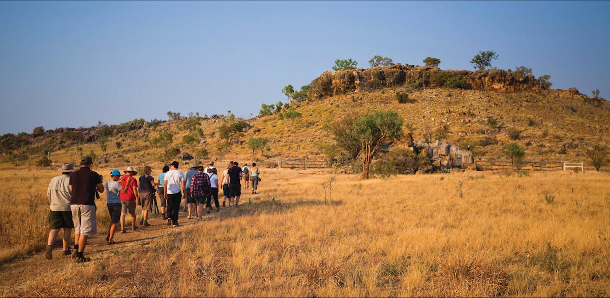 Fossil Fields at Riversleigh