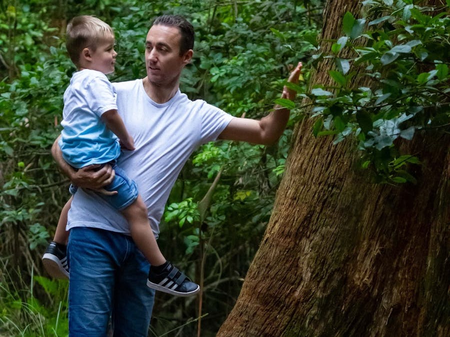 Junior Forest Ranger at Illawarra Fly Treetop Adventures