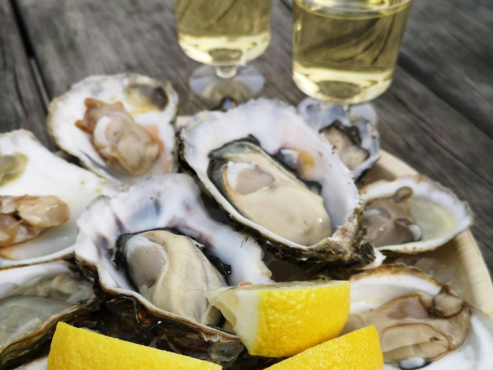 fresh oysters next to two glasses of riesling