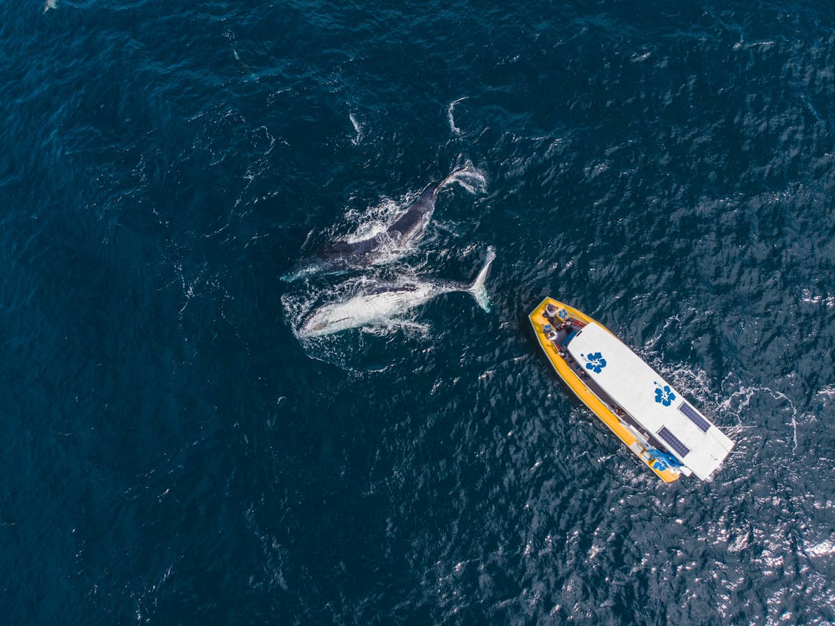 Drone photo