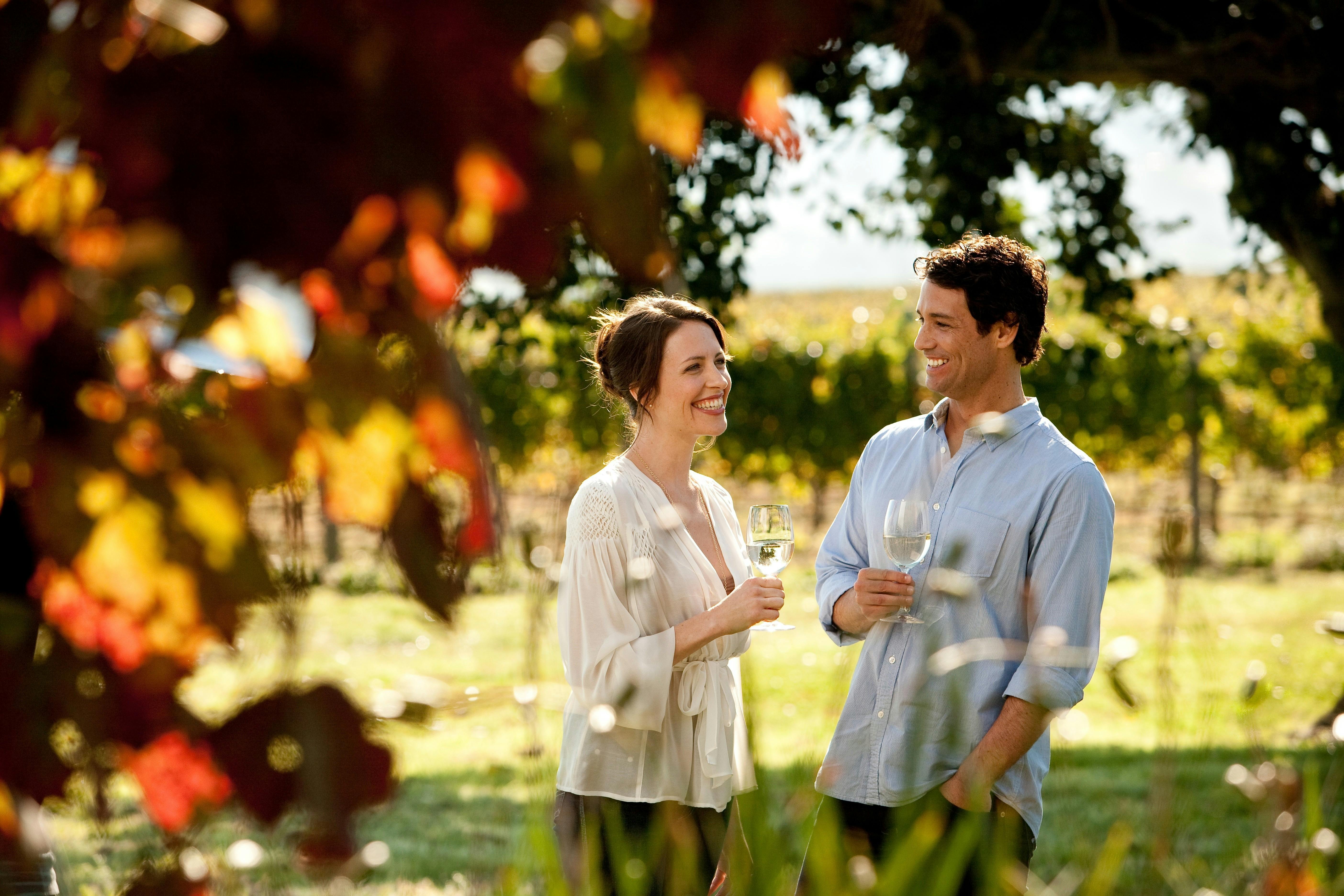 Yarra Valley Wine Tour