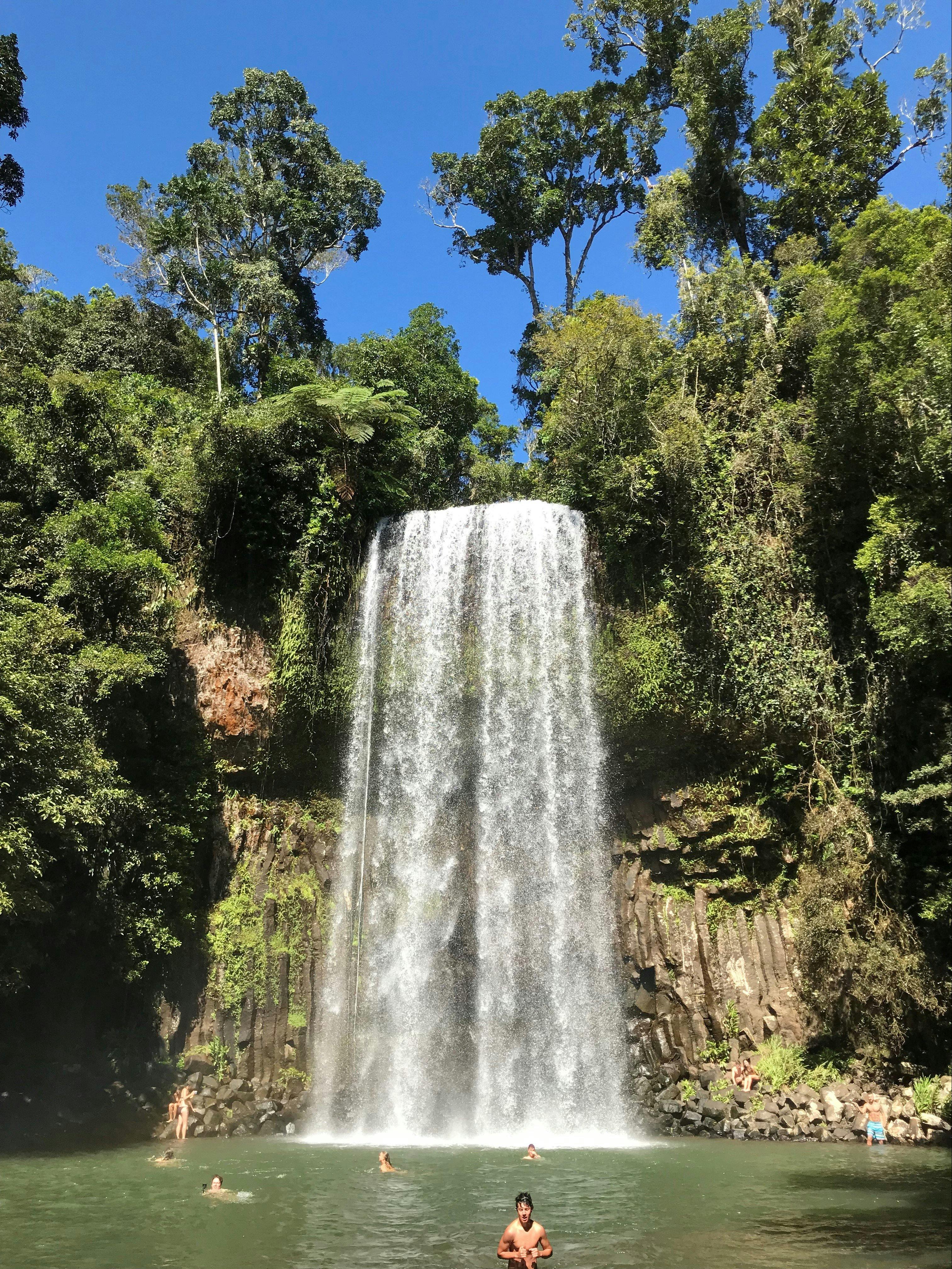 Millaa Millaa Falls on tour with Tablelands Tours