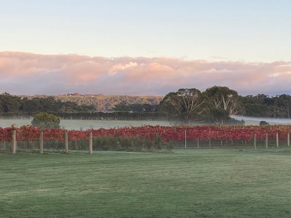 Corner Inlet Vineyard
