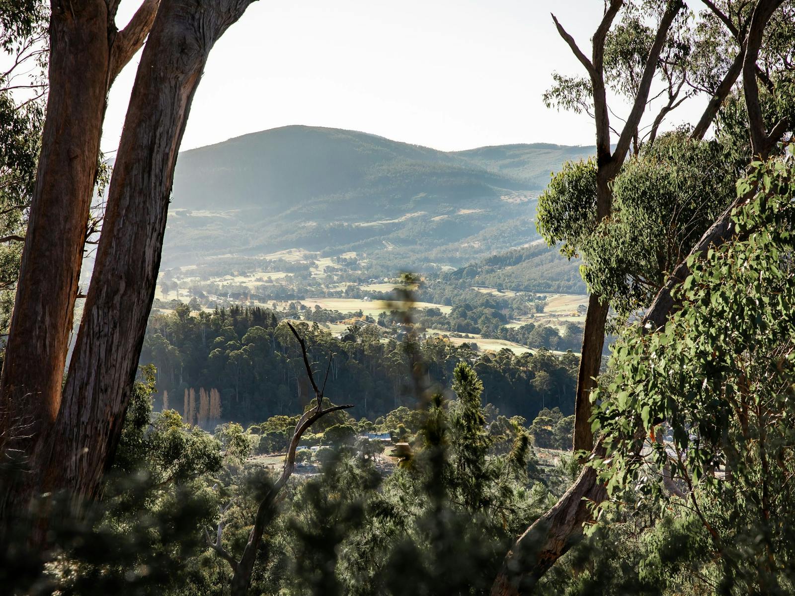 Hunter Huon Valley, view overlooking the valley