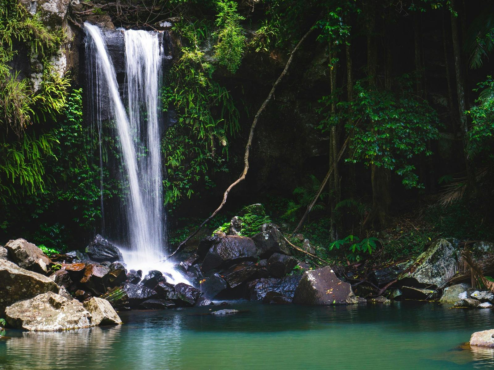 NDIS Accessible Adventure Program - Tamborine Mountain