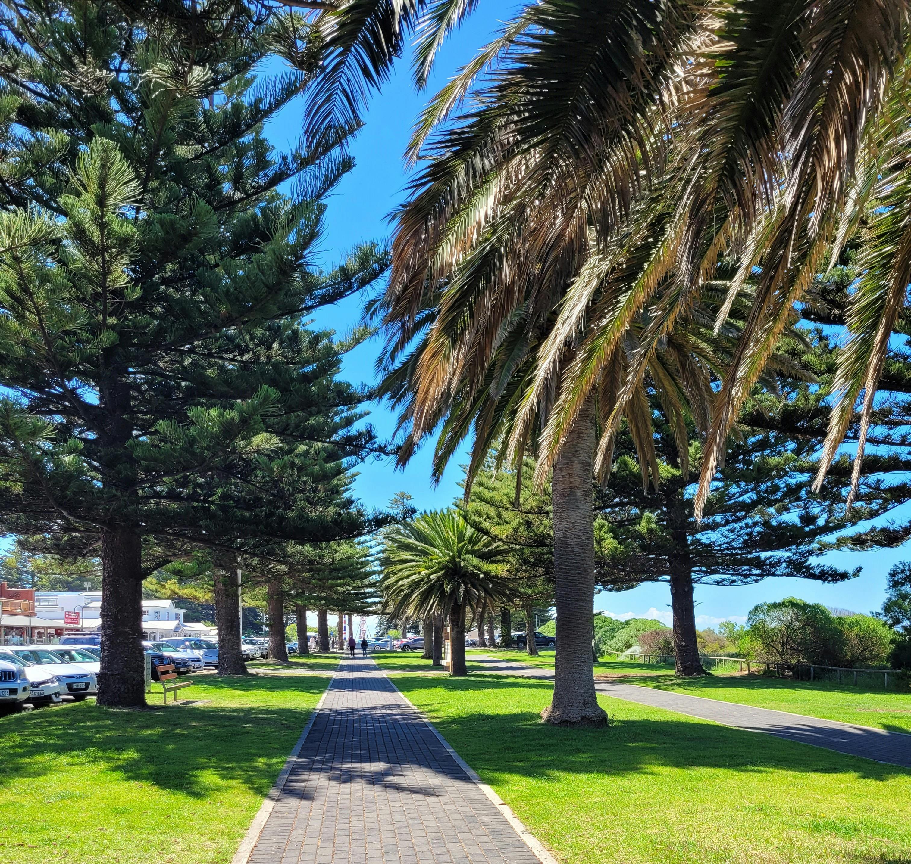 Sea Scape Victor Harbor