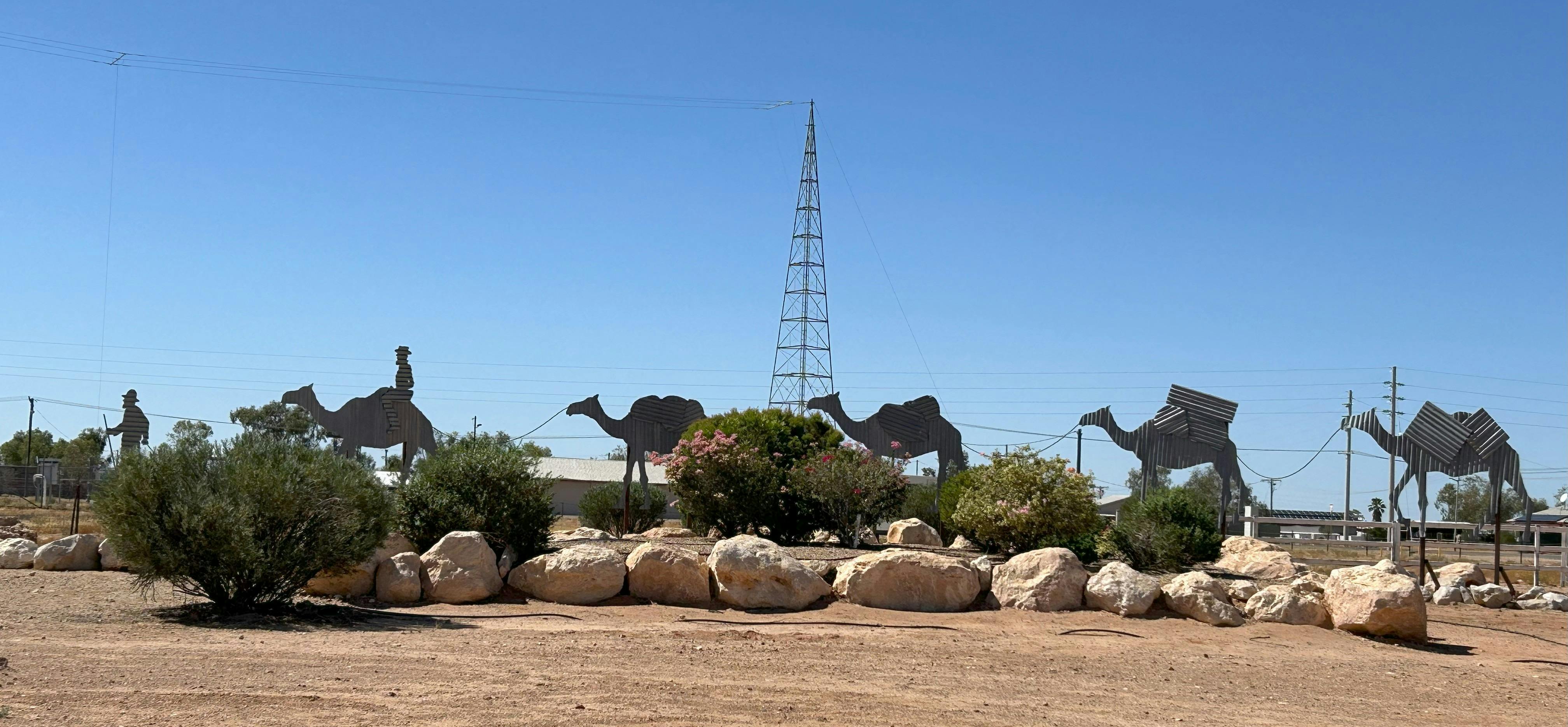 Birdsville Camel Carnival