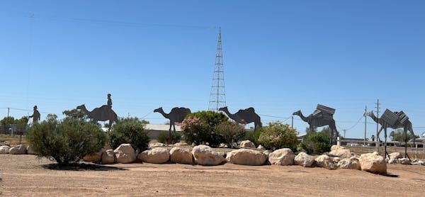 Birdsville Camel Carnival