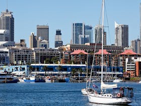 Views across Blackwattle Bay to the Sydney Fish Market.