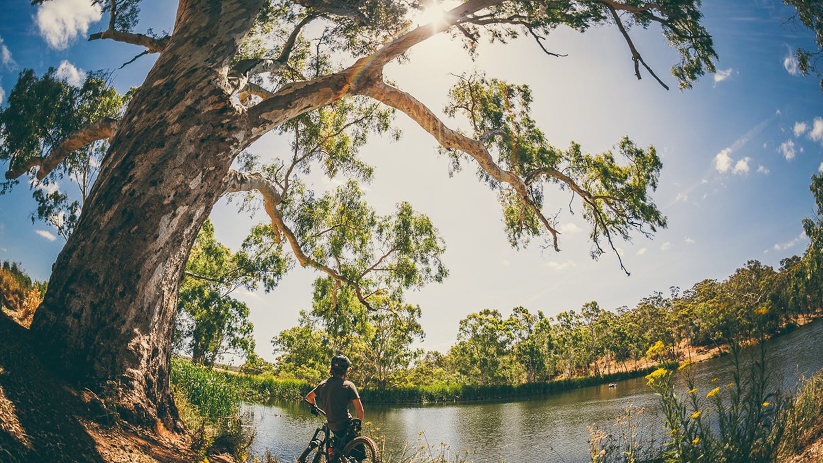 Sturt Gorge Recreation Park