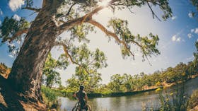 Sturt Gorge Recreation Park