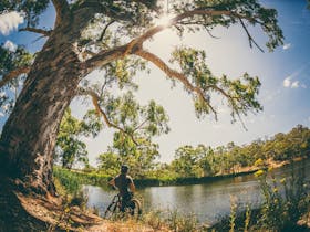 Sturt Gorge Recreation Park