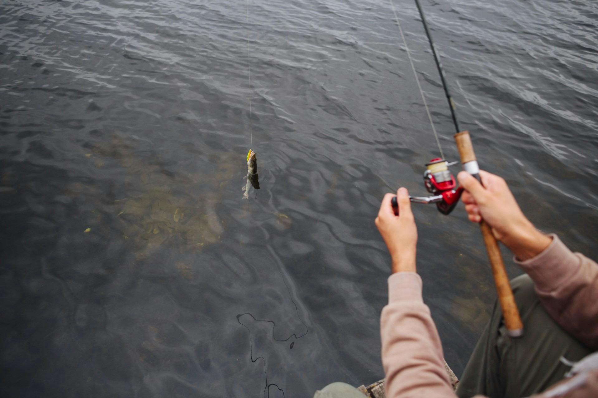 Fishing at Lake Albert