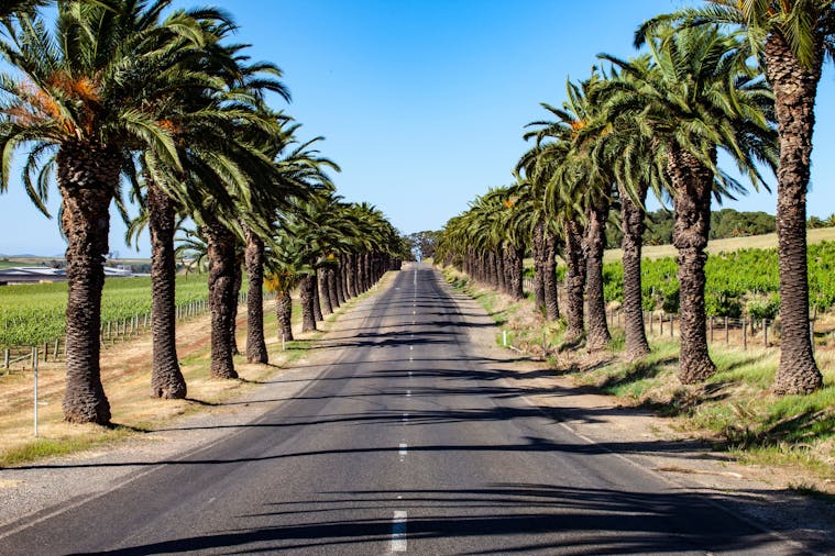 Lets Do Lunch A Day In The Barossa